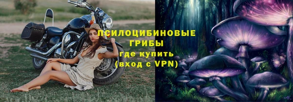 ПСИЛОЦИБИНОВЫЕ ГРИБЫ Армянск