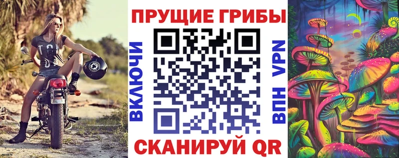 блэк спрут ONION  Нея  Галлюциногенные грибы Cubensis 